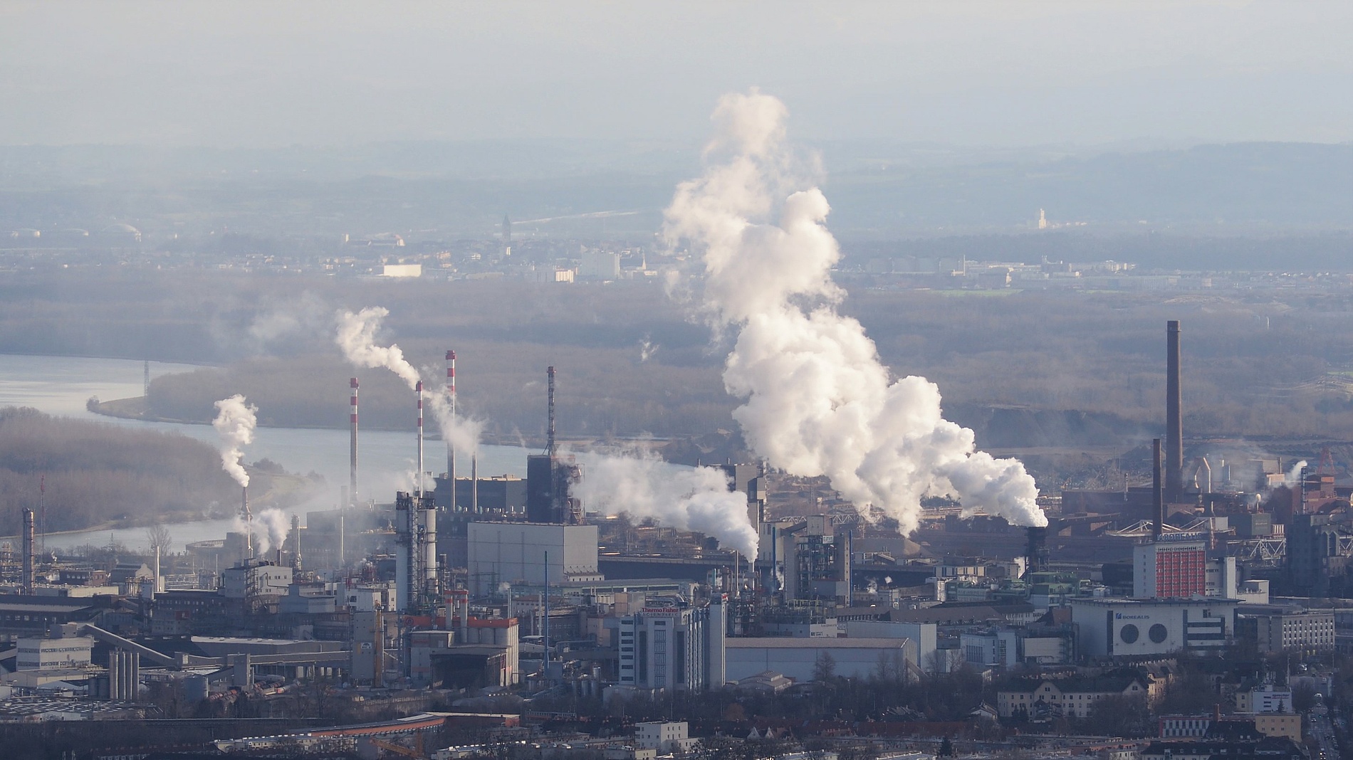 Gewässer günstig und nachhaltig von Schwermetallen reinigen