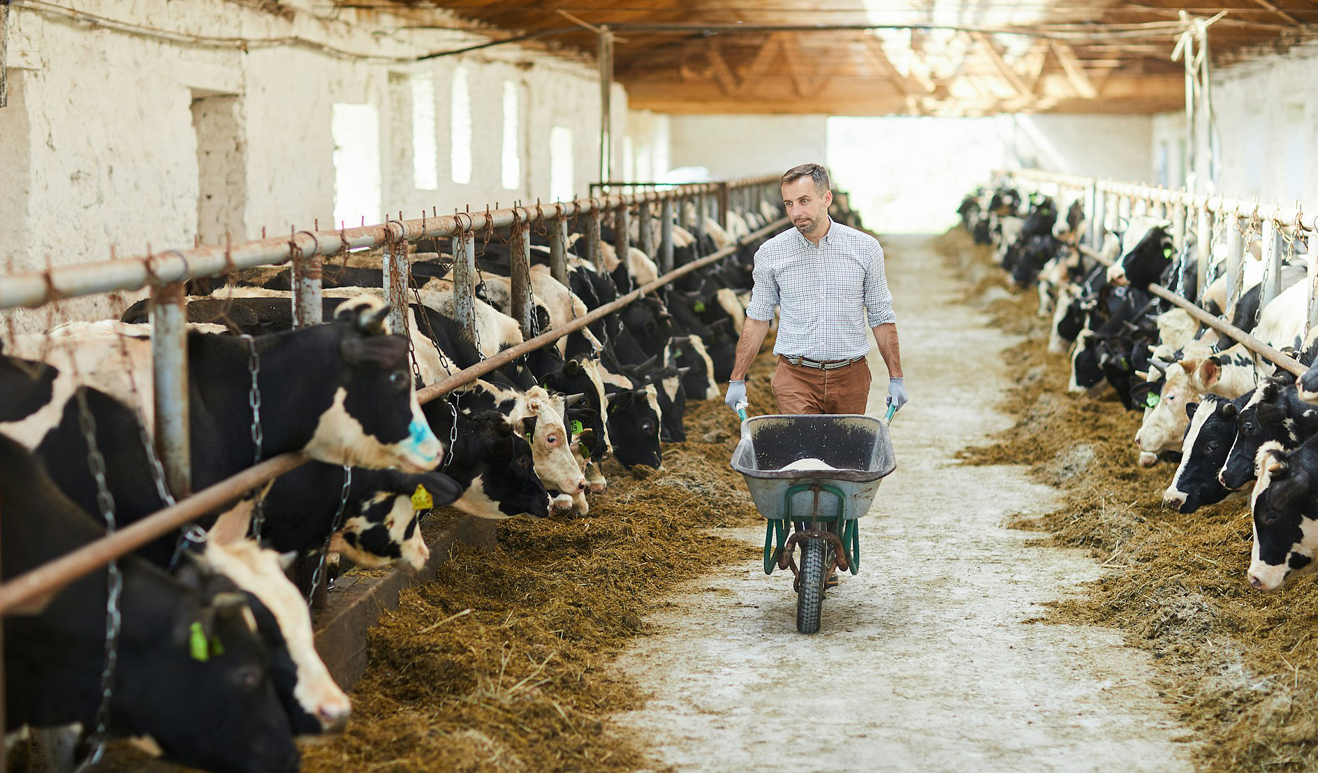 Wie misst man, wie nachhaltig die heimische Landwirtschaft ist?