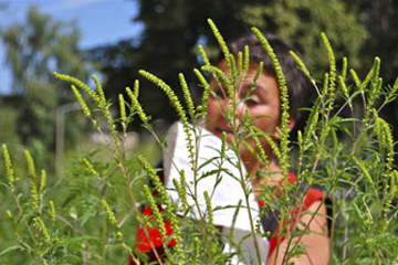 Leichter leben für Pollen-AllergikerInnen