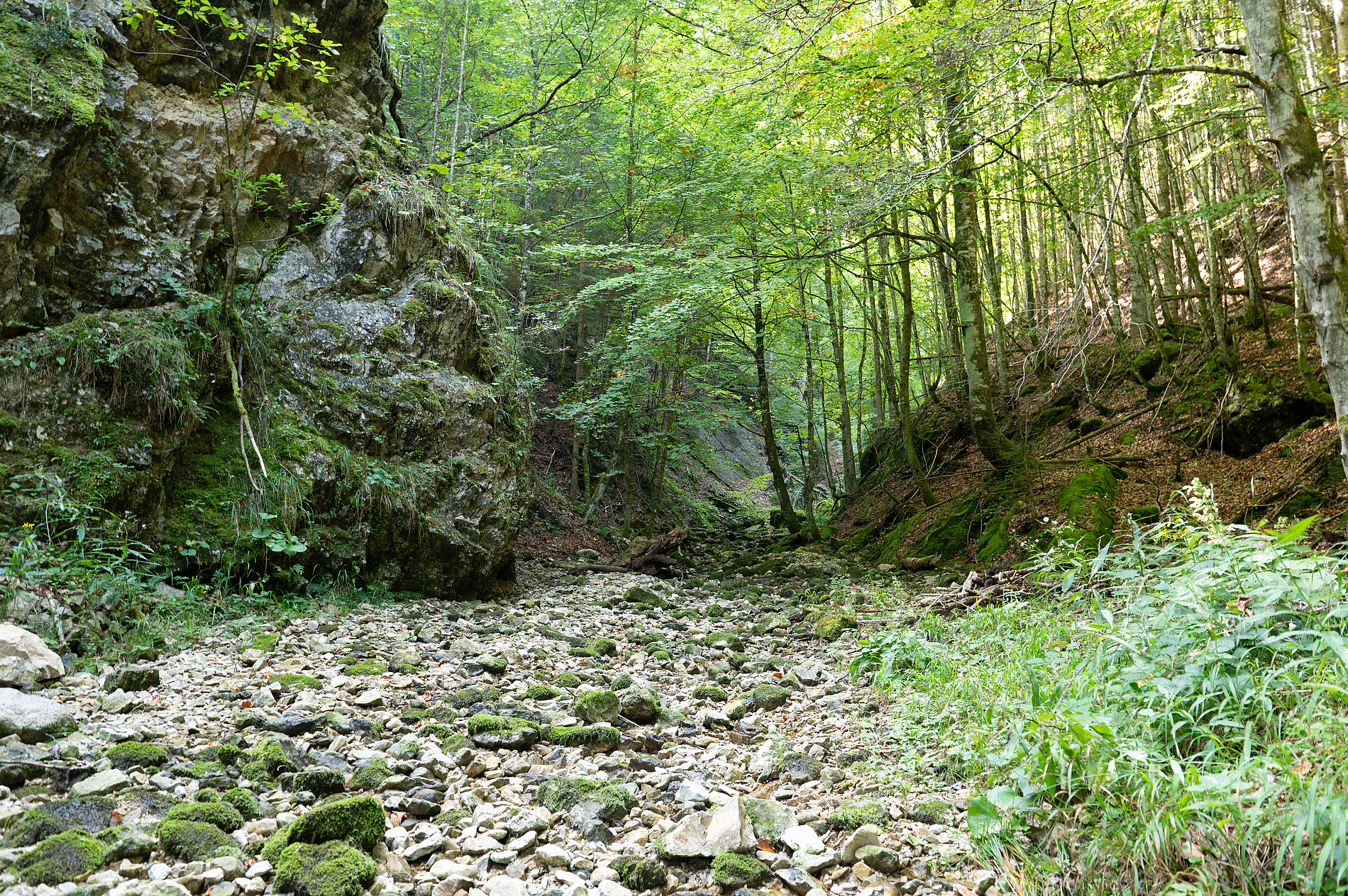 Ein Besuch in Österreichs letzten Naturoasen